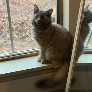 Meet your Posher, Dalila